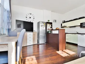 Prodej činžovního domu, Ústí nad Labem, Raisova, 416 m2