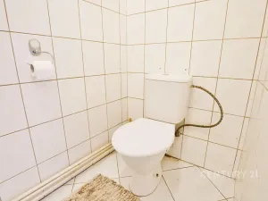 Prodej činžovního domu, Ústí nad Labem, Raisova, 416 m2