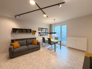 Pronájem bytu 1+kk, Brno - Trnitá, Křenová, 2641 m2