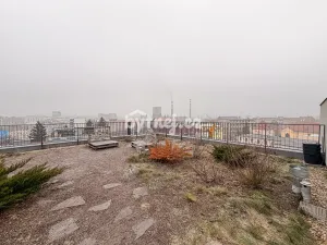 Pronájem bytu 1+kk, Brno - Trnitá, Křenová, 2641 m2