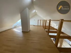 Pronájem bytu 3+kk, Kladno, Máchova, 150 m2