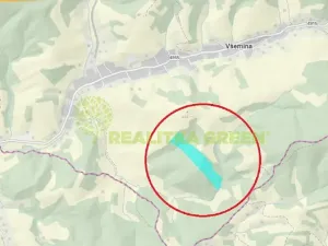 Prodej lesa, Všemina, 68618 m2