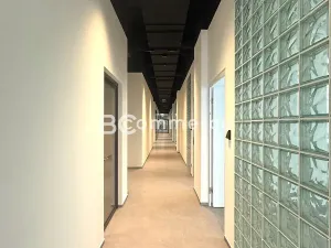 Pronájem kanceláře, Brno, Purkyňova, 25 m2