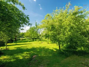 Prodej bytu 2+1, Frýdek-Místek, Panské Nové Dvory, 62 m2