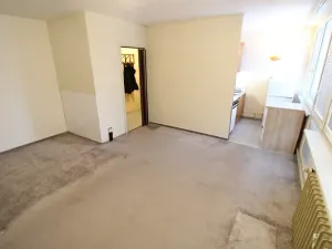 Pronájem bytu 1+kk, Praha - Karlín, Nekvasilova, 28 m2