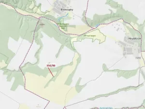 Dražba louky, Ivančice, 252 m2