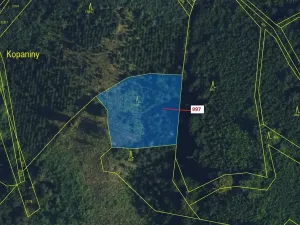 Dražba lesa, Lhota Rapotina, 1938 m2