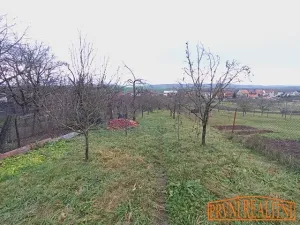 Prodej rodinného domu, Uherský Brod, Školní, 44 m2