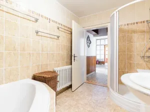 Prodej činžovního domu, Nová Ves, 217 m2