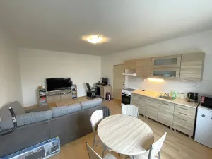 Pronájem bytu 1+kk, Plzeň, Guldenerova, 34 m2
