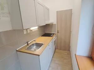 Pronájem bytu 1+kk, Ostrava, Na Fifejdách, 34 m2