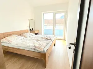 Pronájem bytu 2+kk, Brno, Křenová, 71 m2