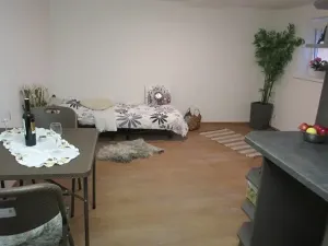 Pronájem bytu 1+kk, Jablonec nad Nisou, Janáčkova, 21 m2