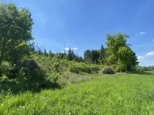 Prodej lesa, Kropáčova Vrutice - Sušno, 15167 m2