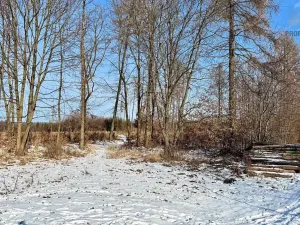 Prodej rodinného domu, Hostěnice, 97 m2