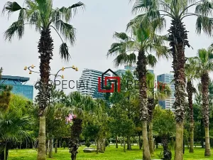 Prodej apartmánu, Batumi, Gruzie, Grigol Lortkipanidze Street, 32 m2