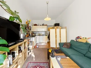 Prodej bytu 2+kk, Praha - Žižkov, Hartigova, 51 m2