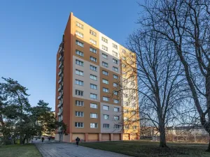 Pronájem bytu 1+kk, Brno - Staré Brno, Veletržní, 19 m2