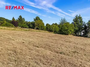 Prodej pozemku pro bydlení, Svojkov, 2003 m2