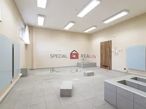 Prodej obchodního prostoru, Ostrava, U Staré elektrárny, 63 m2