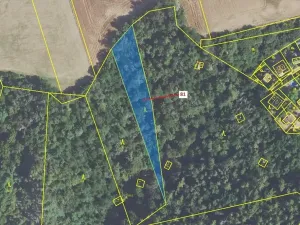 Dražba lesa, Sýkořice, 1816 m2