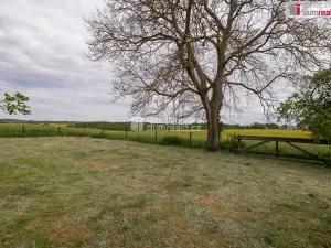 Prodej zahrady, Řepín, 1647 m2