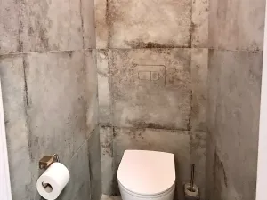 Pronájem bytu 2+kk, Praha - Žižkov, Lucemburská, 54 m2