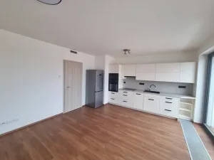 Pronájem bytu 2+kk, Brno, Opuštěná, 58 m2
