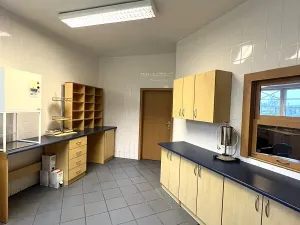 Pronájem obchodního prostoru, Český Těšín, Frýdecká, 160 m2