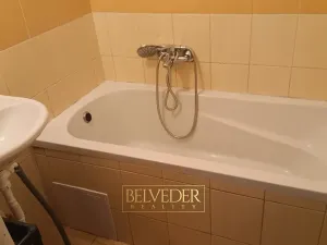 Pronájem bytu 1+1, Teplice, Americká, 38 m2