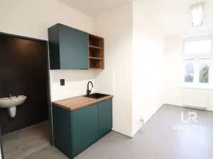 Pronájem kanceláře, Brno - Staré Brno, Zahradnická, 32 m2