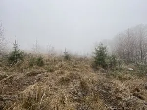 Prodej lesa, Městečko Trnávka - Lázy, 32904 m2