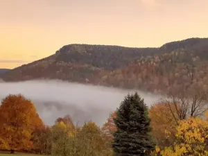 Pronájem bytu 1+1, Děčín, Žlebská, 50 m2