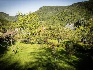 Pronájem bytu 1+1, Děčín, Žlebská, 50 m2