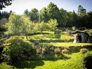 Pronájem bytu 1+1, Děčín, Žlebská, 50 m2