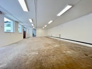 Pronájem výrobních prostor, Kolín, Havlíčkova, 207 m2