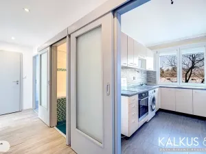 Prodej bytu 2+kk, Hradec Králové, Gagarinova, 41 m2