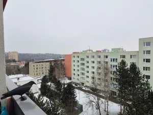 Prodej bytu 2+1, Brno, Ostružinová, 46 m2