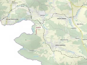 Dražba lesa, Mikulášovice, 3638 m2