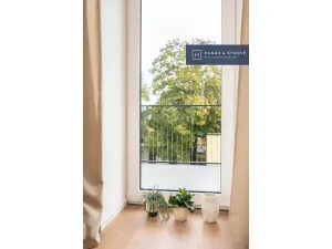 Pronájem bytu 1+kk, Brno, Francouzská, 20 m2