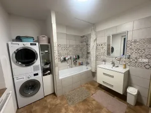 Prodej rodinného domu, Holín, 280 m2