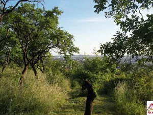 Prodej zahrady, Brno - Židenice, 1227 m2