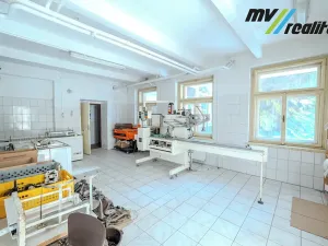 Prodej rodinného domu, Hořice, Riegrova, 720 m2