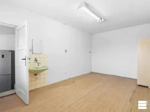Prodej rodinného domu, Dřísy, Na Vinohradech, 100 m2