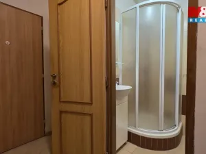 Pronájem bytu 2+1, Sokolov, Křižíkova, 49 m2