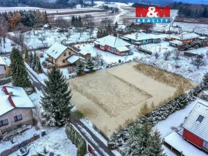 Prodej pozemku pro bydlení, Borová, 1250 m2
