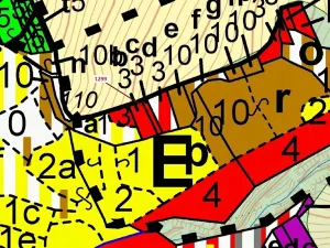 Dražba lesa, Spešov, 114 m2