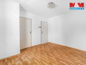 Prodej obchodního prostoru, Studenec, 801 m2