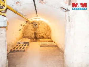 Pronájem skladu, Pardubice - Zelené Předměstí, 17. listopadu, 35 m2