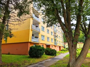 Prodej bytu 1+kk, Kraslice, B. Smetany, 22 m2